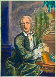 Portrait of Carl Von Linne (1707-1778) Swedish Naturalist