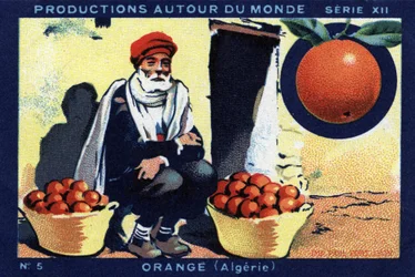 Productions around the world: Orange in Algeria