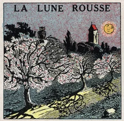Radiation and conductibility: the red moon whose light burns the bloom buds. Anonymous illustration from 1925. Private collection.