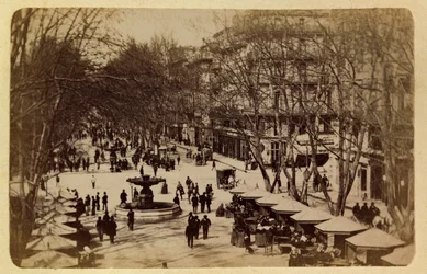 The City of Marseille and Its Surroundings Circa 1885-1890: The Flower Walk, Courses Saint Louis