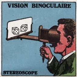 The eye: binocular vision. Use of a stereoscope to see in relief