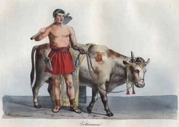Victimaries - Victimarius (Trader of Animals Destined for Sacrifice) - Engraving from 