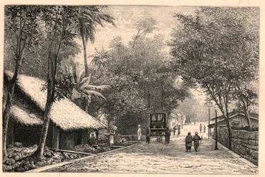 View of a street from Colombo in Ceylon (Sri Lanka). Engraving in 