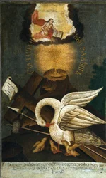 Pelican