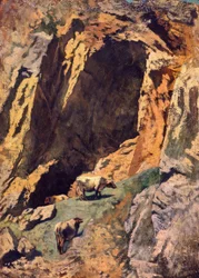 Rock Cleft with Cows