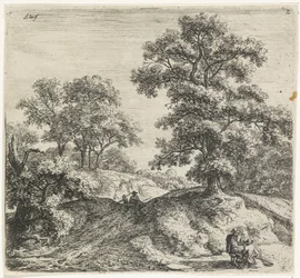 Large Oak Tree Next to a Path (Forest Views, Series B)
