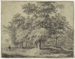 Man with Dog in a Forest