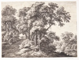 Forest Road by a River