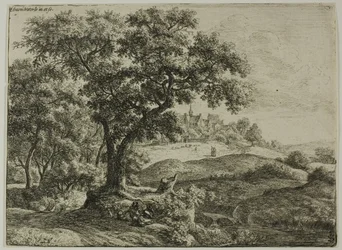The Edge of the Forest
