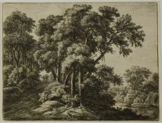 The Wooded Path