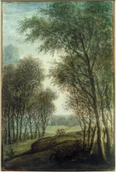Forest Edge