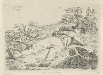 Man Lying in the Grass