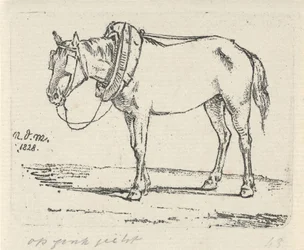 Harnessed Horse