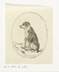 Sitting Dog