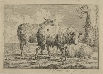 Three Sheep by a Tree