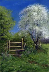 Springtime by the Stile, 2013