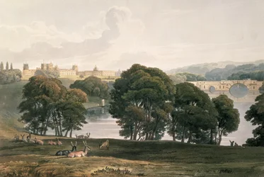 Unknown Image