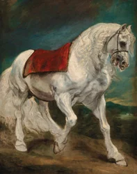 An Andalusian Horse