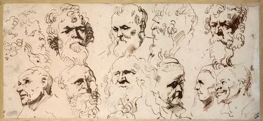 Eleven Head Studies