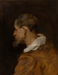 Head Study