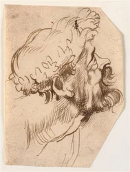 The Head of a Man