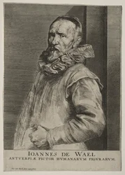 Portrait of Jan de Wael