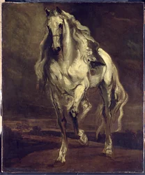 Unknown Image
