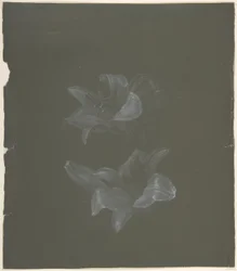Floral Design