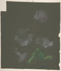 Floral Design