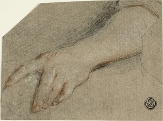 Hand Pointing and Forearm