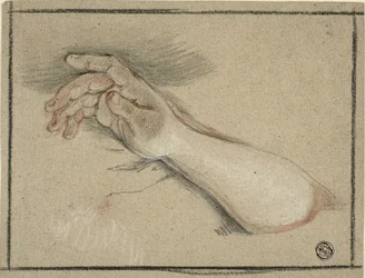 Hand and Forearm