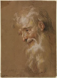 Head of a Bearded Old Man
