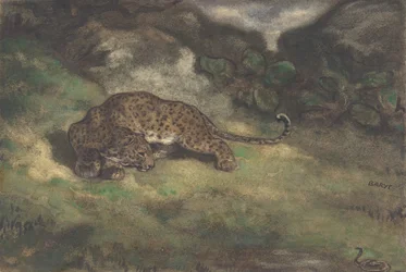 Leopard and Serpent
