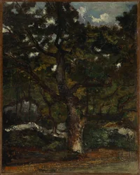 Part of the Forest of Fontainebleau