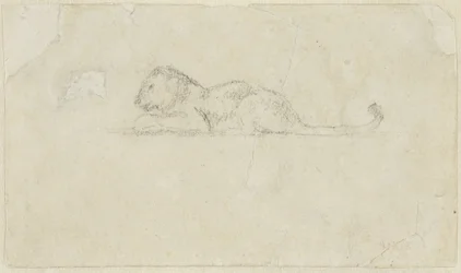 Seated Lioness
