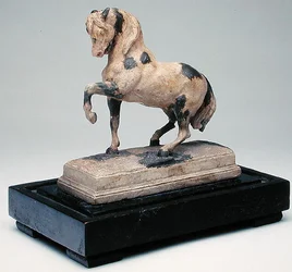 The Turkish Horse