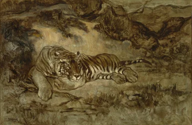 Tiger at Rest