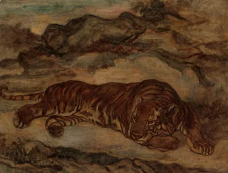 Tiger in Repose