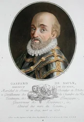 Gaspard de Saulx (1509-73) Seigneur de Tavanes