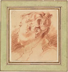 Study of Woman