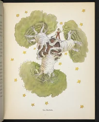 The Baobabs, illustration from 