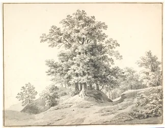 Landscape with Large Trees by the Elbe. Buxtehude