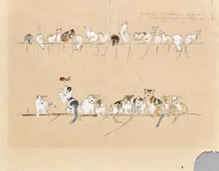 Little Mouse and Cats