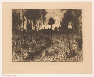 Forest Path at Evening