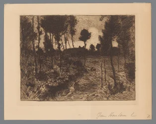 Forest Path at Evening