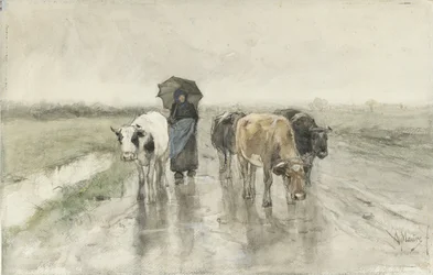 A Herdess with Cows on a Country Road in the Rain