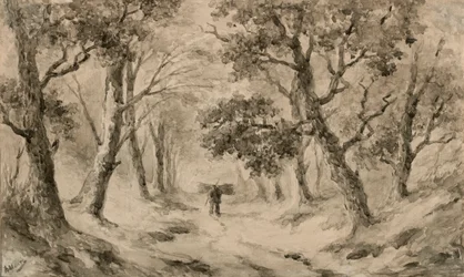 A Wood Gatherer in the Forest