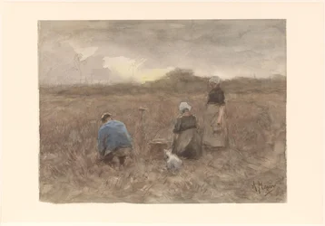 Potato Diggers