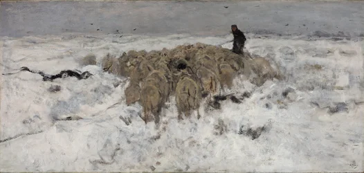 Flock of Sheep with Shepherd in the Snow