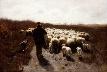 Return of the Flock
